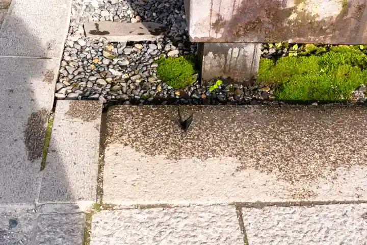 諏訪大社(長野県)