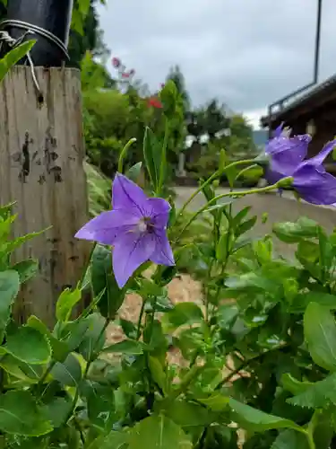 沙沙貴神社の自然