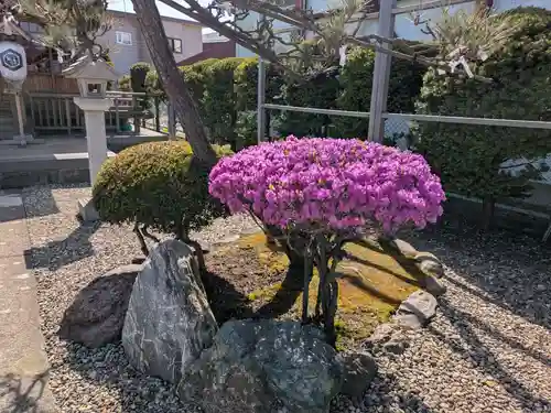 亀田龍神社(北海道)