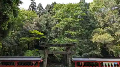 宇佐宮弥勒寺跡の鳥居