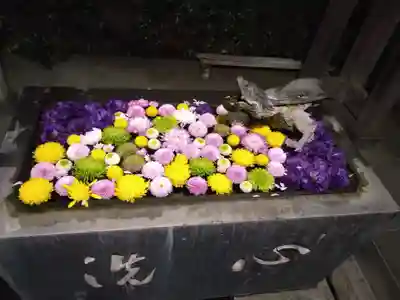 龍華寺(神奈川県)