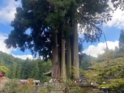 金剛三昧院(和歌山県)