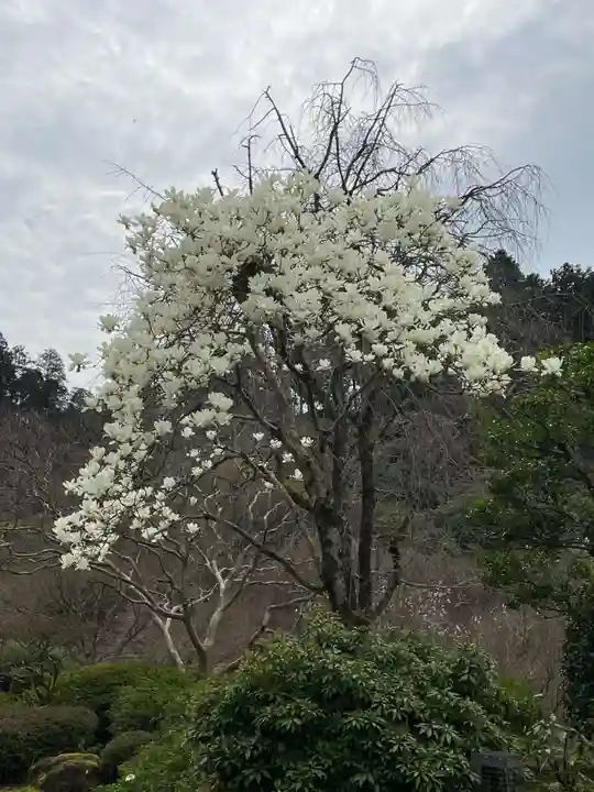 三室戸寺(京都府)