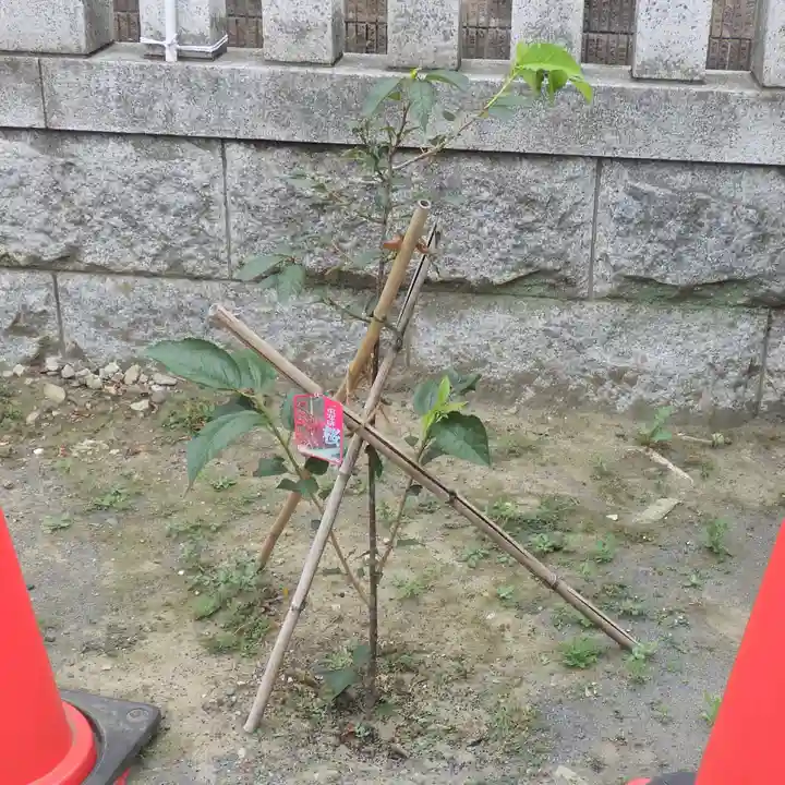 六所神社の自然