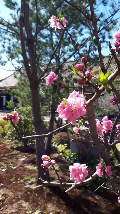蓮華王院(三十三間堂)(京都府)