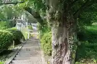 長屋神社の景色