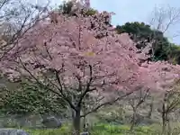 橿森神社(岐阜県)