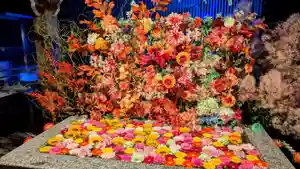 金蛇水神社(宮城県) 2024年09月15日(日)〜(2024年09月15日(日) 18時15分12秒投稿)