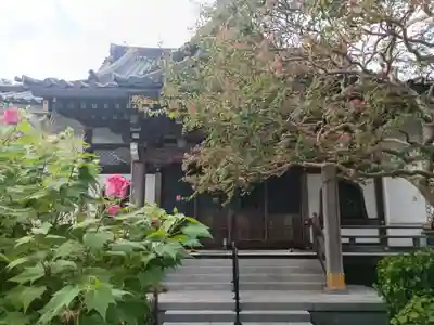 妙隆寺(神奈川県)