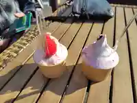 日向寺 (栃木県)