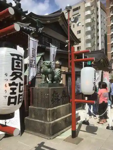 浅草神社の狛犬