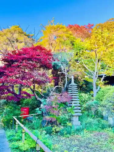 浄光明寺(神奈川県)