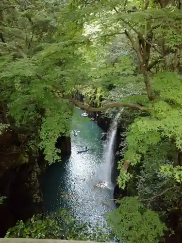 高千穂神社の自然