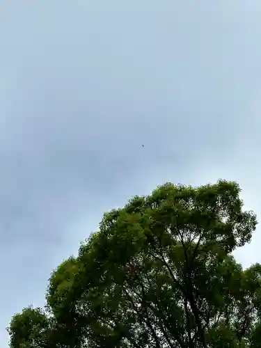 杭全神社(大阪府)