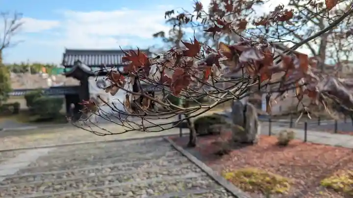 光明寺(粟生光明寺)(京都府)