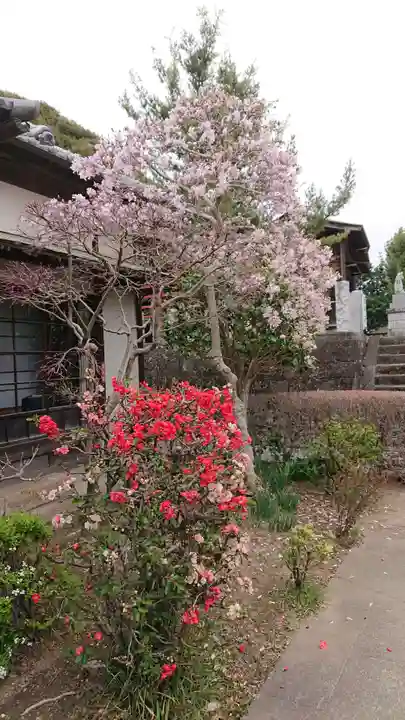 一瓶塚稲荷神社の自然