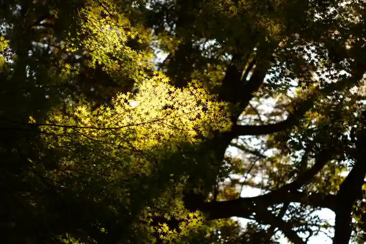 白山比咩神社(石川県)