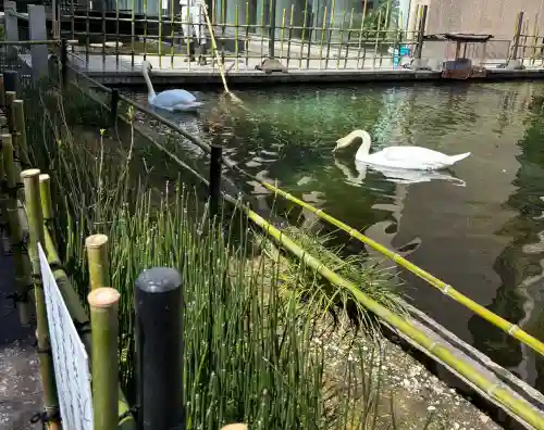 頂法寺（六角堂）の{uncategorized: "未分類", other: "その他", undefined: "問題あり", building: "その他建物", grave: "お墓", sacred_gate: "鳥居", guardian: "狛犬", statue: "像", buddha: "仏像", history: "歴史", nature: "自然", garden: "庭園", animal: "動物", pagoda: "塔", temizu: "手水舎", mountain_gate: "山門・神門", sanctuary: "本殿・本堂", subordinate: "末社・摂社", art: "芸術", scenery: "景色", jizo: "地蔵", ema: "絵馬", goshuin: "御朱印", omikuji: "おみくじ", items: "授与品その他", amulet: "お守り", goshuincho: "御朱印帳", eats: "食事", festival: "お祭り", votive_dance: "神楽", shichigosan: "七五三参", wedding: "結婚式", experience: "体験その他", initially: "初詣", around: "周辺", anti_infection: "感染症対策"}