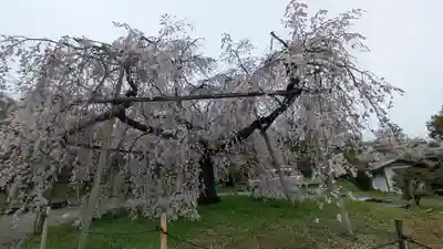 圓山稲荷(京都府)