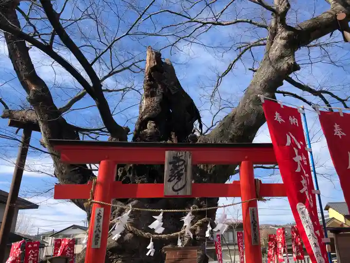 秩父今宮神社のその他建物