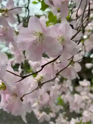 信濃神社(北海道)
