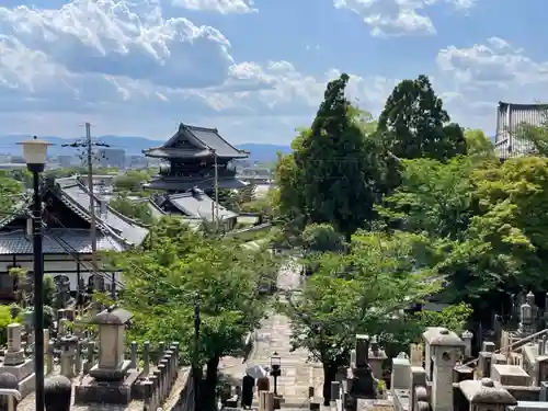 くろ谷 金戒光明寺(京都府)