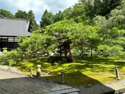 慈雲寺(長野県)