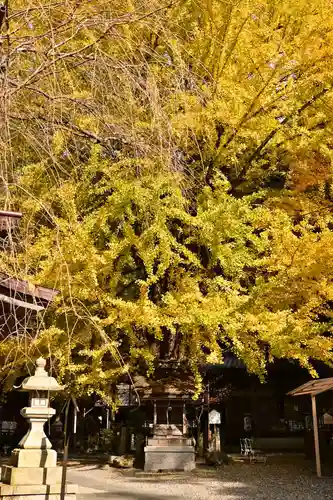 正法寺(滋賀県)