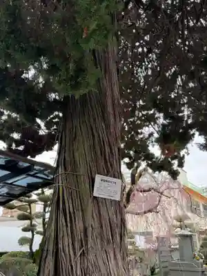 浄誓寺(愛知県)