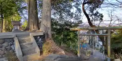 南足柄神社(神奈川県)