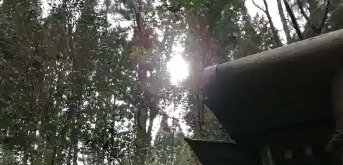 幣立神宮の自然