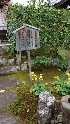 高台寺(高台寿聖禅寺・高臺寺)(京都府)