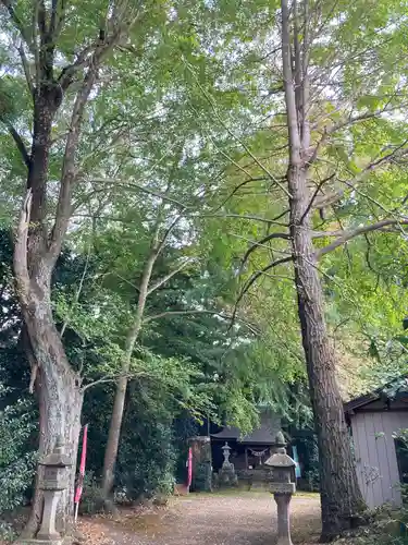 子安神社(茨城県)