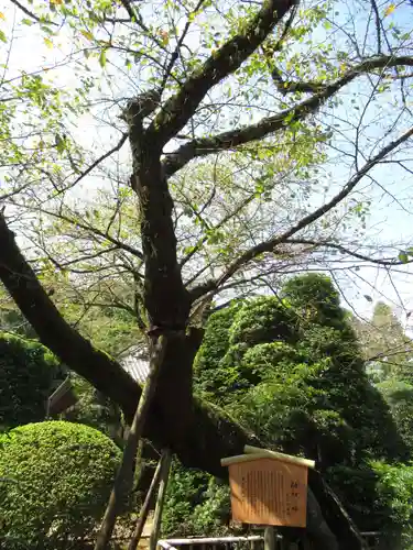 金乘院(千葉県)