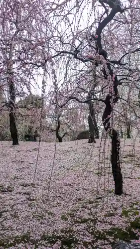 城南宮(京都府)