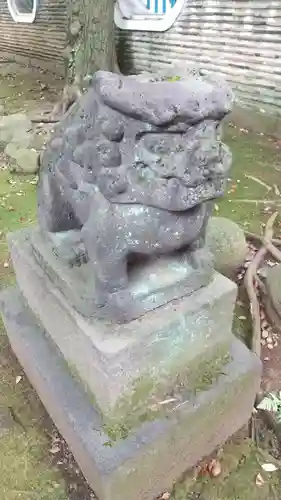 赤坂氷川神社の狛犬