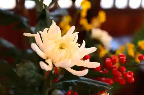 三津厳島神社のその他建物
