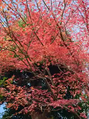 弘明寺(神奈川県)