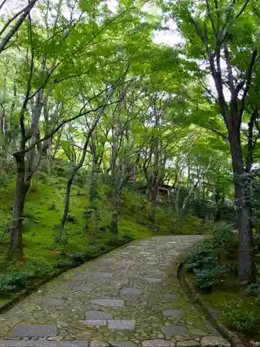 常寂光寺の周辺