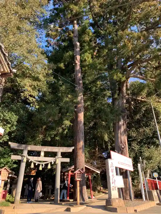 麻賀多神社(千葉県)