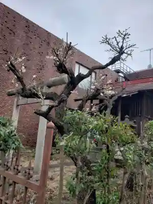 三峯神社(東京都)