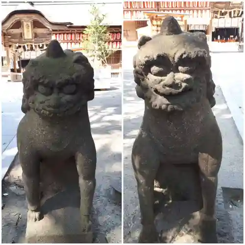 大崎八幡宮の狛犬