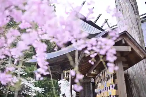 冨士御室浅間神社(山梨県)