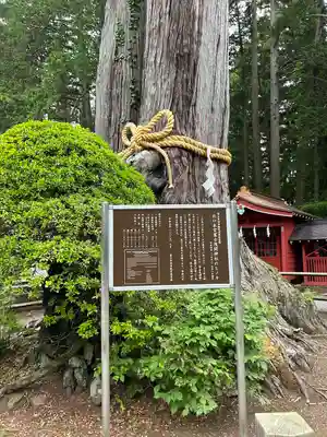 北口本宮冨士浅間神社(山梨県)