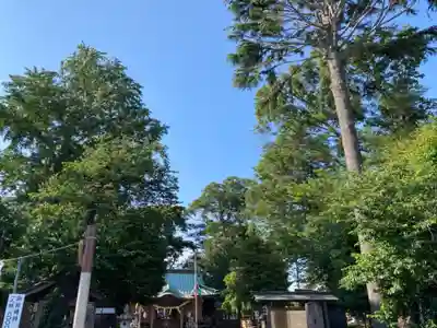 深見神社(神奈川県)
