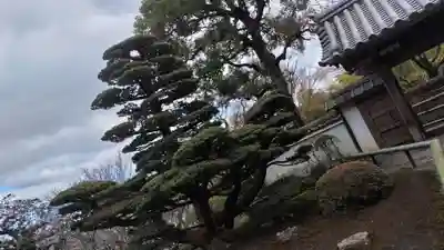 華厳寺(鈴虫寺)(京都府)