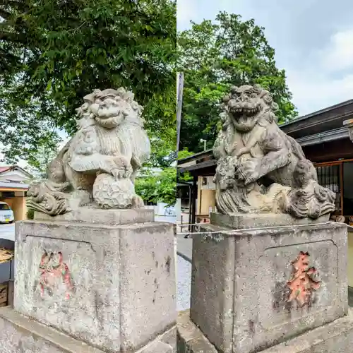 鎮守氷川神社の狛犬