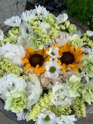 彌都加伎神社の手水舎