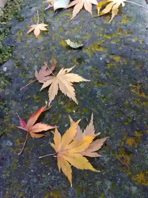 柴神社(福井県)