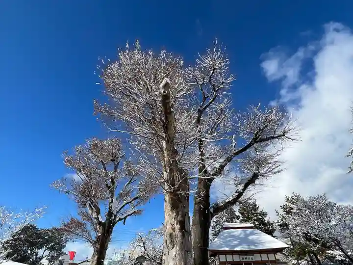 木留神社の自然